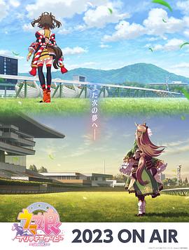 大连seo查询多少钱